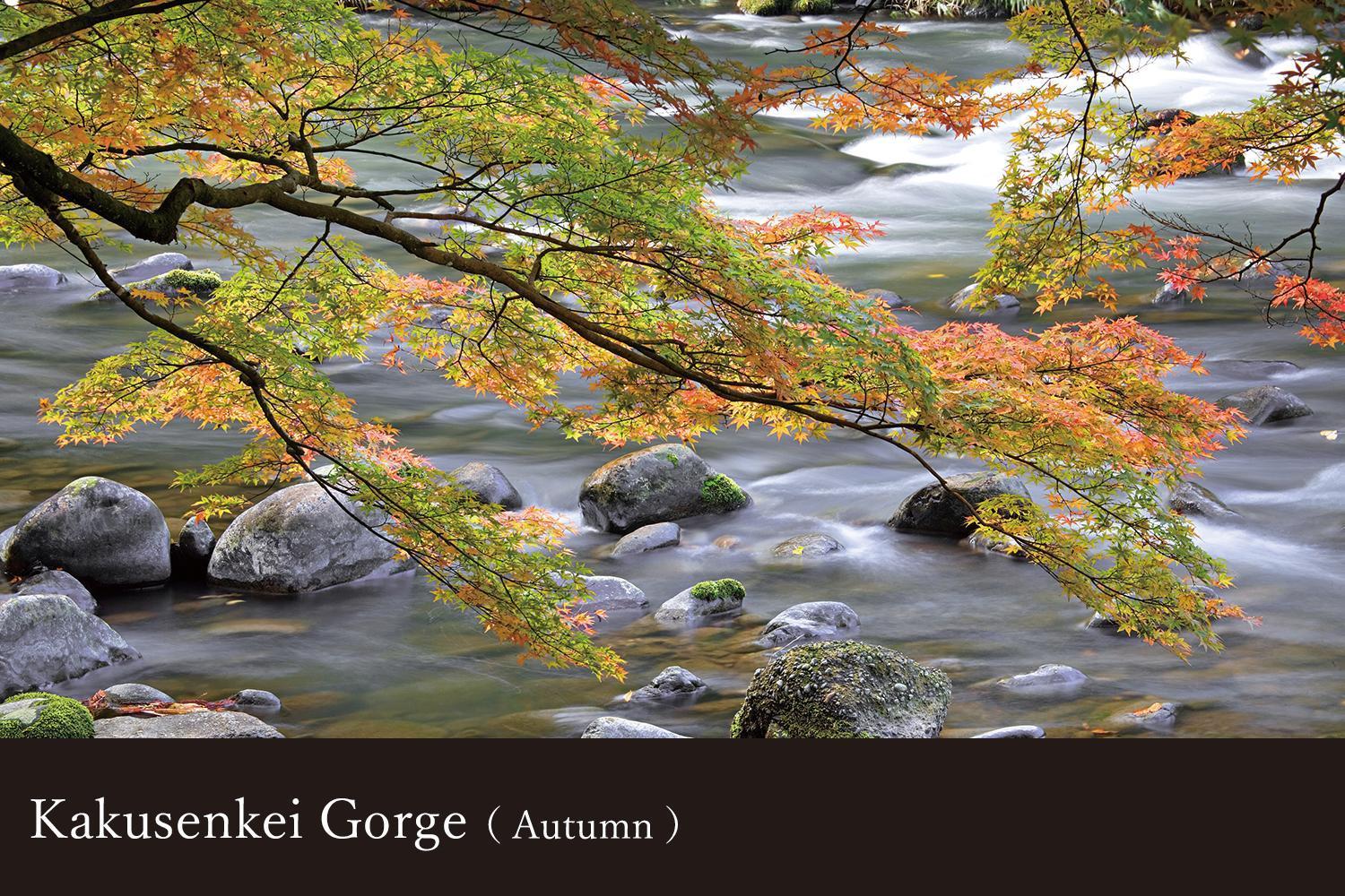 Готель Yamanaka Onsen Kissho Yamanaka Каґа Екстер'єр фото